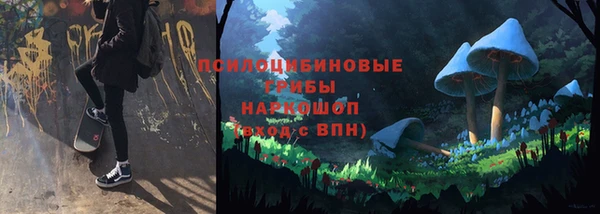 шишки Армянск