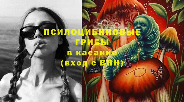 твердый Арсеньев