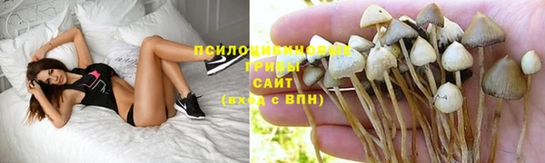 прущие крисы Алексеевка