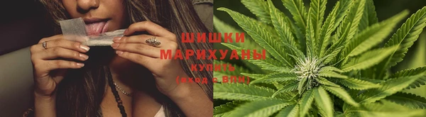 гидра Магас