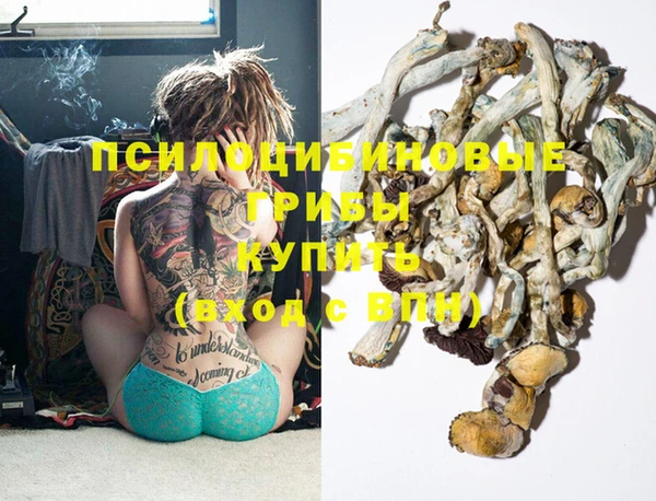 прущие крисы Алексеевка