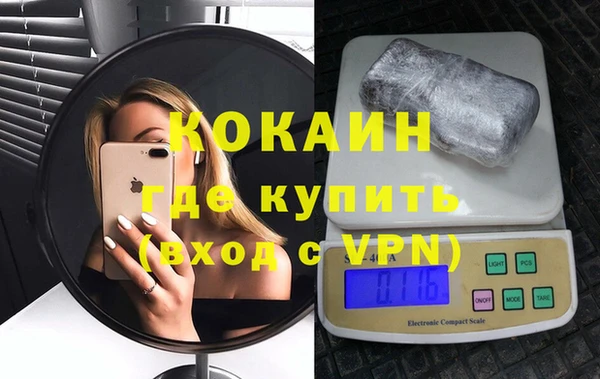 шишки Армянск