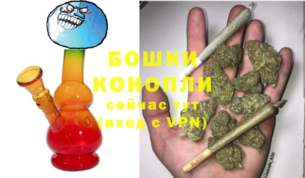 шишки Армянск