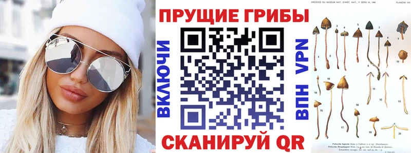 как найти   Старая Русса  Псилоцибиновые грибы Magic Shrooms 